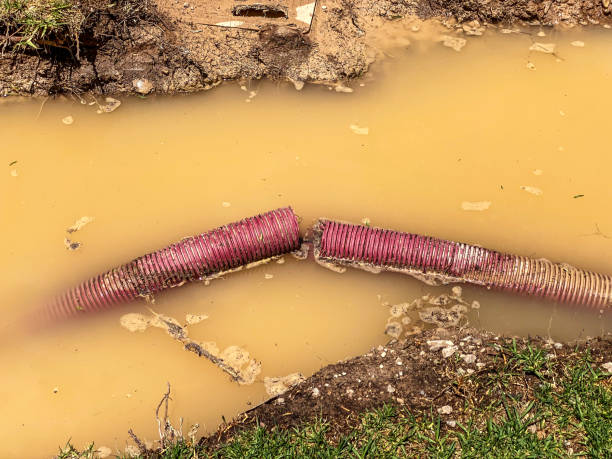 Best Water damage restoration near me  in Mcgehee, AR